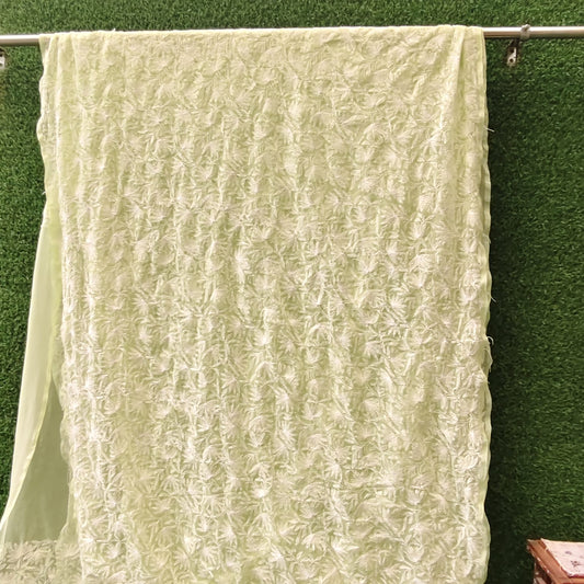 ChikankariTepchi Jaal -Lime Green