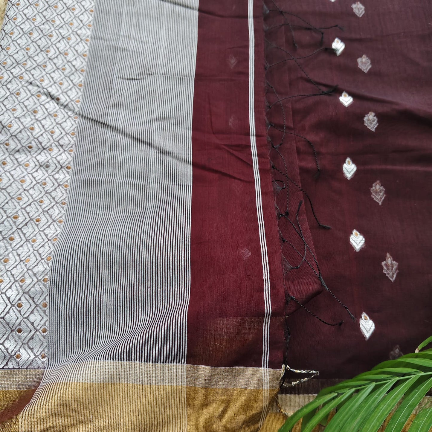 Cotton Kora Banarasi, Coffee